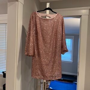 Sparkly Loft shift Dress